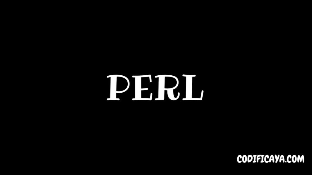 ¿Es fácil aprender Perl en 2025? 1 ▷【 Perl 】 lenguaje de programación en 2025